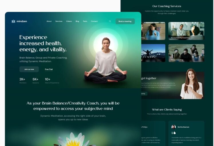 online dynamic mediation coaching website design